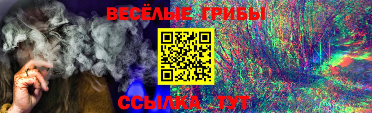 Псилоцибиновые грибы прущие грибы  сколько стоит  Нижнеудинск  Вход с VPN  Псилоцибиновые грибы Cubensis 